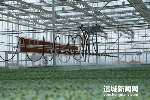 夏縣積極籌備第七屆中國山西特色農產品交易博覽會，夯實初級農產品營銷基礎