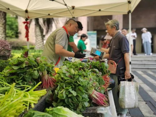高溫送清涼 菜籃守安康——便民市集讓平價菜與優質農產品走進社區