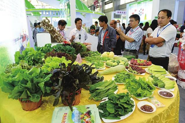 我市在第十九屆中國綠博會上斬獲佳績 初級農產品成亮點